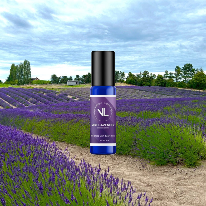 Roller bottle of Vibe Lavender essential oil with a lavender field in the background