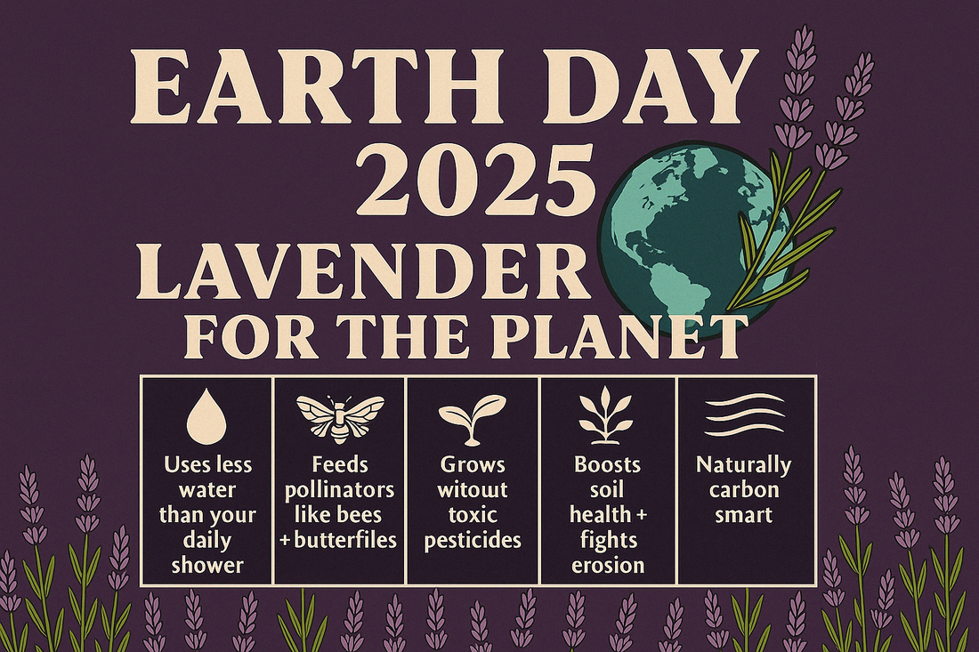 Lavender for the Planet: Environmental Benefits to Celebrate This Earth Day 2025